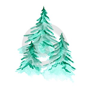 Vector watercolor background with green fir forest