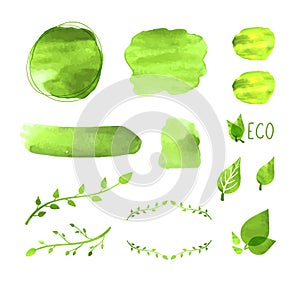 Vector Watercolor Blank Frames Set, Plants Drawings, Floral Design Elements, Green Paint Texture, Eco Concept, Icons Isolated.