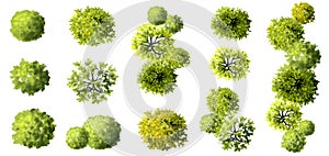 Vector set of Top view green tree for outdoor plan or map