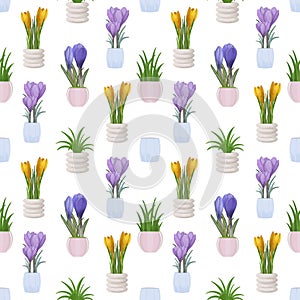 Vector watercolor drawing of purple and yellow crocuses with green tubercles with grass