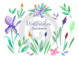 Vector watercolor floral set. Floral design elements.