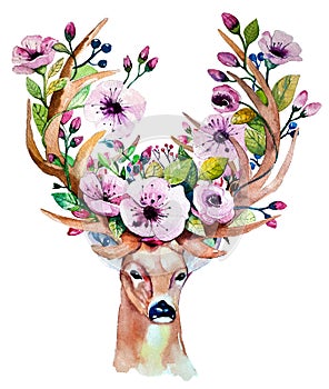 Vector watercolor hand drawn floral set with deer