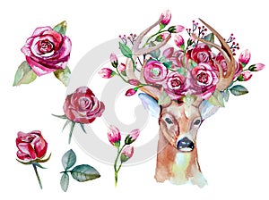 Vektor akvarel ručně malované sada jeleň 