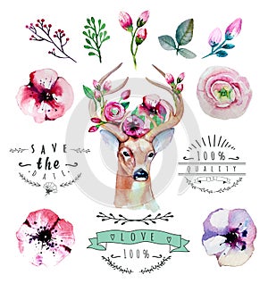 Vector watercolor hand drawn floral set with deer