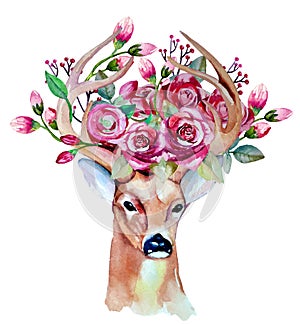 Vector watercolor hand drawn floral set with deer