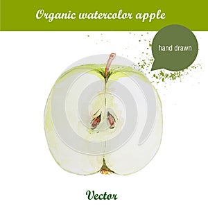 Vector watercolor hand drawn green apple with watercolor drops.