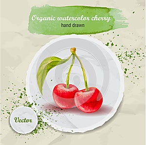 Vector watercolor hand drawn group of cherries