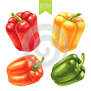 Watercolor set of colorful bell peppers