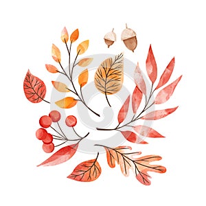 Vector watercolor illustration. Set of fall leaves, acorns, berries. Forest design elements. Hello Autumn! Perfect for seasonal