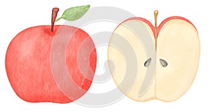 Vector Watercolor illustrations set of Red Apple with green leaf and Half of Red Apple with seeds isolated on white