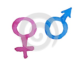 Vector and watercolor male and female sign. Venus and Mars Symbol. Pink and blue icon, hand painted on paper, white background