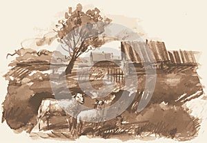 Vector watercolor monochrome drawing of village landscape with grazing sheep