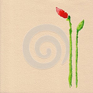 Vector watercolor poppy flower
