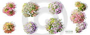 Vector watercolor set of flower tree top view isolated on white background for landscape plan