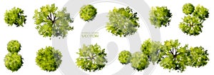 Vector watercolor set of greentree top view isolated on white background for landscape plan