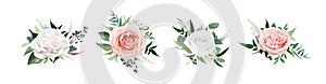 Vector, watercolor style floral bouquet. Blush peach, dusty pink, ivory white Rose flowers, Eucalyptus greenery, berries, tender