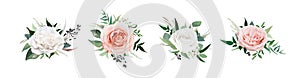 Vector, watercolor style floral bouquet. Blush peach, dusty pink, ivory white Rose flowers, Eucalyptus greenery, berries, tender photo