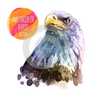 Vector watercolor style illustration of bird
