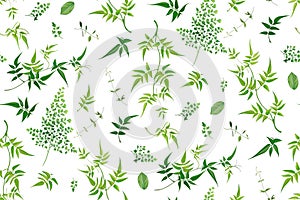 Vector watercolor style seamless greenery leaf pattern. Tropical leaves, jasmine vine, different fresh foliage. Textile fabric,