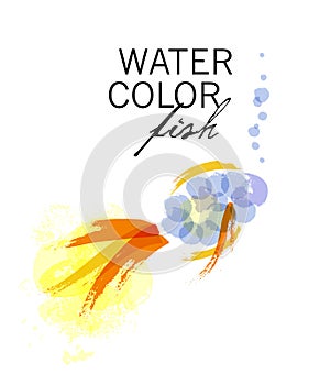 Vector watercolor transparent gold fish