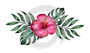 vector watercolor tropical bouquet with pink hibiscus flower and palm leaves. Exotic hawaii composition, aloha print