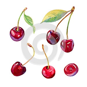 Vector watercolour cherry illustration. Hand drawn cherries set. Fresh sweet and tasty cherries. Bright and fresh photo