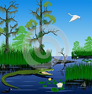 Vector wetland Pantanal Everglades landscape