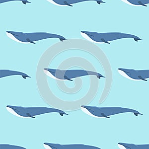 Vector whale illustration seamless pattern humpback ocean marine mammal wildlife aquatic animal character.