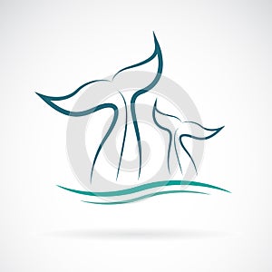 Vector of whale tail design on white background. Animals.