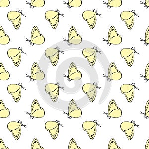 Vector white background daisy flowers, wild flowers and butterflies, insects. Seamless pattern background