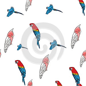Vector white background tropical birds, parrots, macaw, exotic cockatoo birds. Seamless pattern background