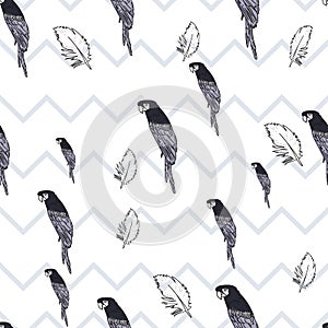 Vector white background tropical birds, parrots, macaw, exotic cockatoo birds. Seamless pattern background