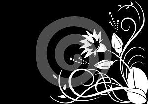 vector white flora on black background