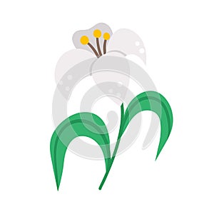 Vector white lily icon. Easter symbol flower illustration. Floral clip art. Cute flat spring plant isolated on white background