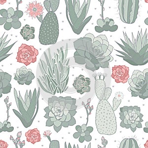 Vector white pink green cactus flower seamless pattern print background