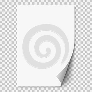 Vector white realistic paper page with curled corner.