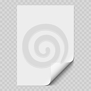 Vector white realistic paper page mockup with white corner curled