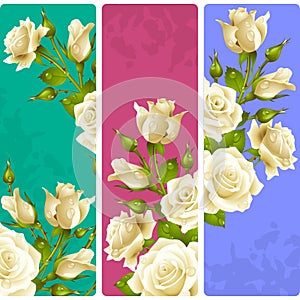 Vector white Rose frames. Set of floral vertical banners