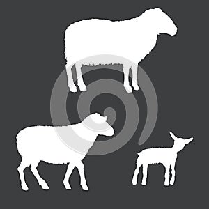 Vector White Silhouettes of Ram, Sheep and Lamp