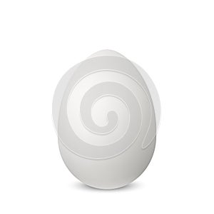 Vector white single realistic animal egg.
