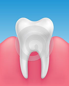 Vector white single tooth in healthy gums on blue background - stomatology, dental hygiene