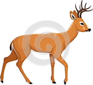 Vector white tiled deer illustration