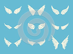 Vector White Wing Icon Set. Vintage Angel Wings, Icons, Design Template, Clipart Collection. Cupid, Bird Wings. Vector