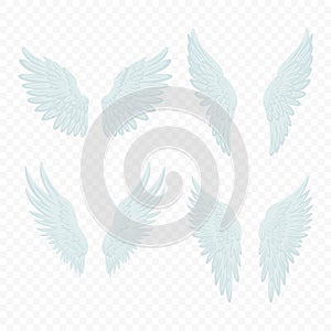 Vector White Wing Icon Set. Vintage Angel Wings, Icons, Design Template, Clipart Collection. Cupid, Bird Wings. Vector
