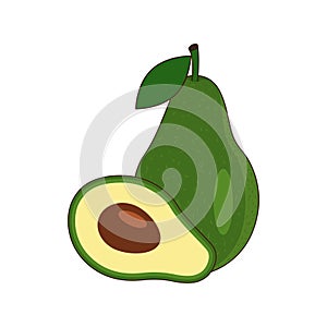 Vector whole avocado with leaf and one half. Tropical fruit