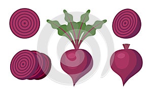 Vector whole beet and slices