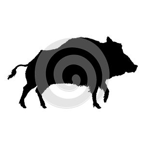 Vector Wild Boar Silhouette Illustration