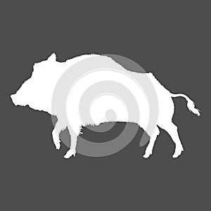 Vector Wild Boar White Silhouette