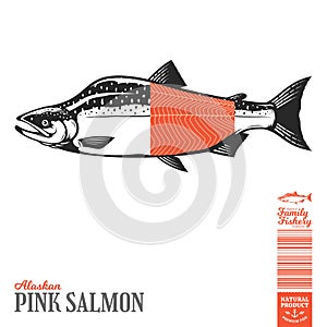 Vector wild pink salmon illustration