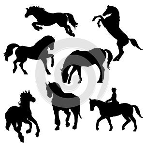 Vector wilde horse silhouettes set